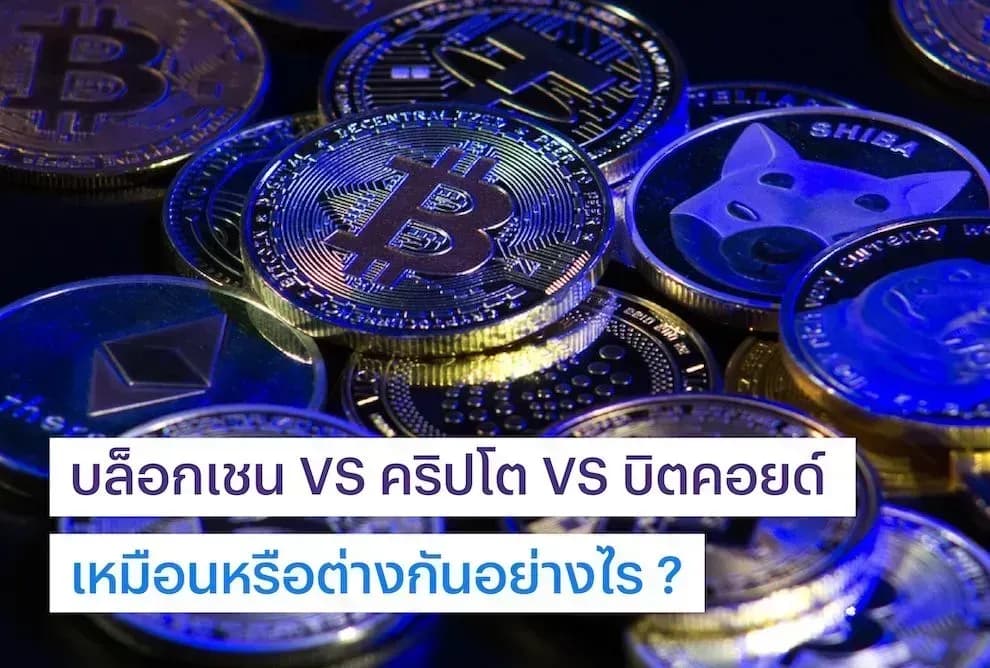 1726082428169-a68bf77ae8f1c6e3fe834fbe23449b8c1c6919c7a87e9585523321f641a112d9-hprqcvggoez.jpg