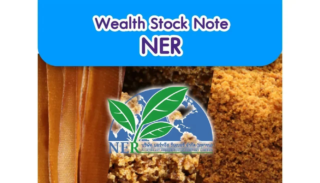 Wealth Stock Note – NER 12/05/2023