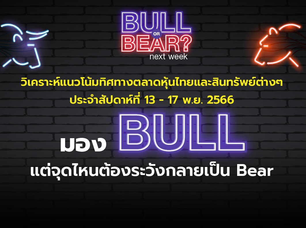 bull bear (17)
