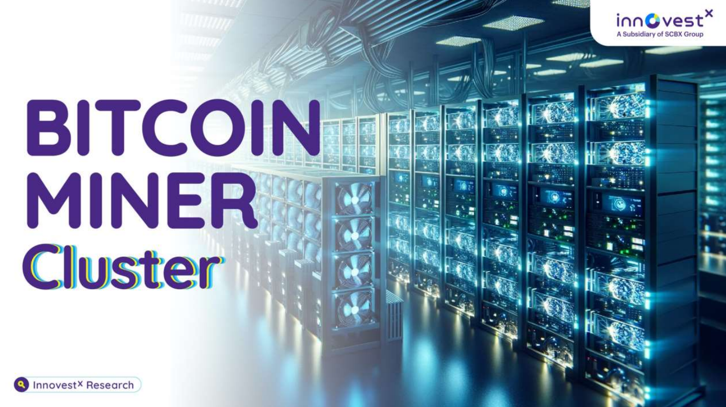 Bitcoin Miner Cluster