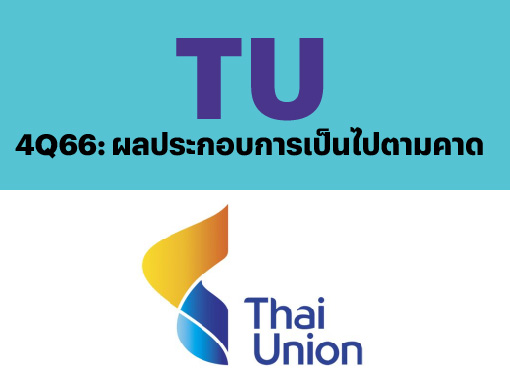 THUMNAIL-15