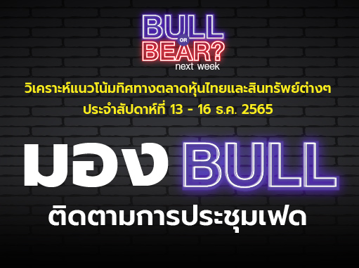bull bear-05 (1)