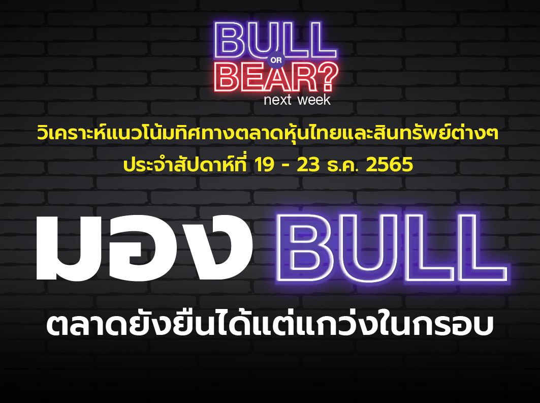 bull bear-05 (2)