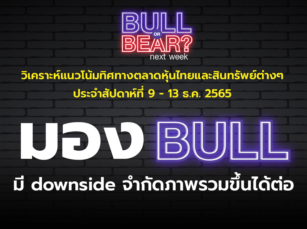 bull bear-05 (3)