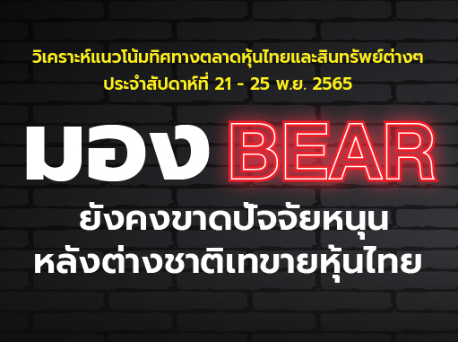 bull bear-05