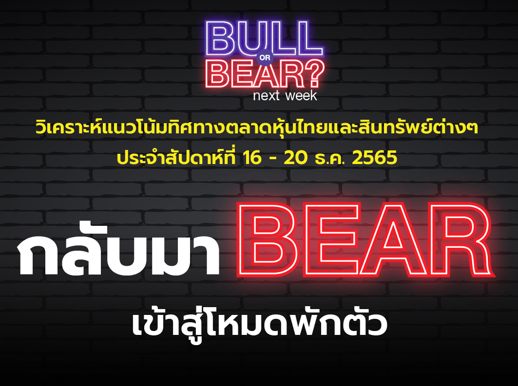 bull bear