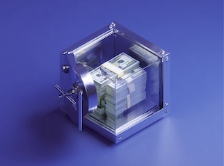 scbs image